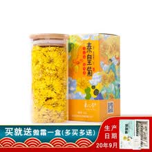 良心谷有机泰皇菊新花贡菊花茶一朵一杯金丝婺源皇菊茶叶金凤来单瓶 玻璃瓶30g