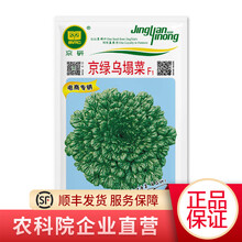 北京农科院京研乌塌菜种子塌菜种子塌棵菜种子塌地松种子黑菜种子 蔬菜种子四季播种非转基因种籽 京绿乌塌菜（10克）1袋