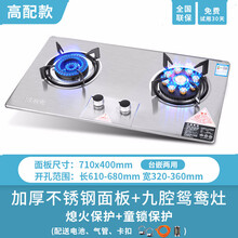 博莱克燃气灶双灶液化气嵌入式台式两用式猛火炉具节能家用煤气灶倍为 不锈钢九枪鸳鸯 天然气