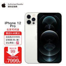 Apple iPhone 12 Pro (A2408) 支持移动联通电信5G 双卡双待手机 银色 256G【官方标配+三方20W闪充+壳膜套件】