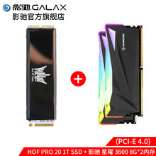 影驰名人堂HOF PRO M.2 500G1TB2TB  SSD 4.0 NVME 台式机固态硬盘 HOF PRO 20 1T+星曜内存