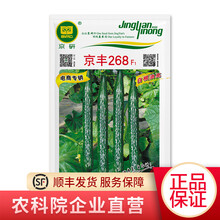 农科院京研黄瓜种子带刺翡翠旱秋黄瓜蔬菜种子 四季播种迷你水果黄瓜种籽 室内外盆栽种植 京丰268黄瓜1克/袋