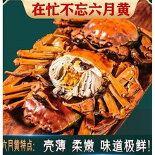 活鲜【冷链运输】大闸蟹鲜活 六月黄螃蟹公母蟹缺重包赔 礼盒装黎麦跃堡 (2.5-2.0两)12只