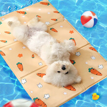 允爱宠物冰垫 狗狗垫子防水夏季降温降暑猫咪凉垫凉席泰迪金毛拉布拉多中小型犬宠物猫狗窝垫 胡萝卜款（30*40cm）