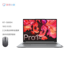 联想（Lenovo）小新Pro14 标压锐龙版 高性能全面屏轻薄笔记本电脑 R7-5800H 16G 512G 2.2K屏