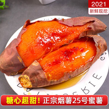 红薯山东黄金板栗蜜烟薯烤地瓜新鲜农家糖心流油番薯25号整箱 9斤 中果