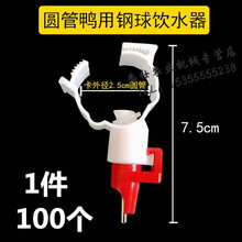 鸭子钢球饮水器 鸭用自动饮水嘴吊杯 鸡鸭鹅不锈钢乳头吊杯饮水器 圆管鸭用饮水器(1件100个)