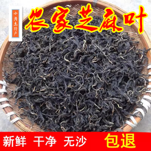 小涛庄园新芝麻叶干芝麻叶干货干菜河南驻马店特产干净无沙250克500克 精选芝麻叶100克