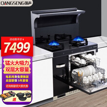 强声（QANGSENG）集成灶洗碗机 13套家用抽油烟机 燃气灶 消毒柜 储物柜一体 S6009【大吸力集成洗碗机基础款】液化气 可选管道天然气/瓶装液化气