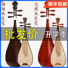 民音琵琶红木鸡翅木花梨木琵琶乐器初学入门教学成人琵笆乐器 花梨木直头带贝雕