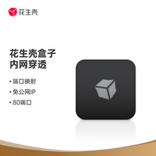 花生壳盒子 花生棒Pro内网穿透ngrok端口映射NAT智能硬件远程访问支持接入frp