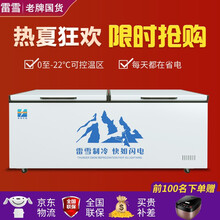 【铜管升级】雷雪 冰柜商用大容量 卧式冰柜 卧式冰箱 展示柜 冷藏柜 商用冰柜 冰柜家用 冷柜铜管 528单温铜管（电脑温控）