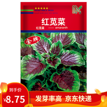 凤鸣雅世蔬菜种子红苋菜种子汉菜籽蔬菜野生菜农家菜四季菜苋野菜春夏季青菜种籽蔬菜种籽菜种子盆栽 蔬菜种籽 花红苋菜种子20克