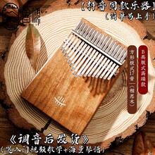 新款鲁儒拇指琴卡林巴琴21音/17音初学者kalimba便携式男女生手指钢琴 B类S形板式17音【枫木】
