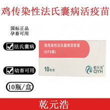 鸡法氏囊疫苗 鸡传染性法氏囊病活疫苗NF8株乾元浩鸡疫苗