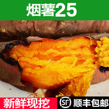 地瓜红薯蜜薯糖心沙地薯烟署25黄心山芋番薯新鲜蔬菜3斤5斤 【营养】5斤小果