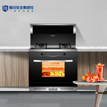 【门店同款】板川（SAKACO）风情蒸箱款蒸烤一体集成灶一体灶家用保洁柜侧吸下排油烟机 蒸烤一体E20ZK 液化气