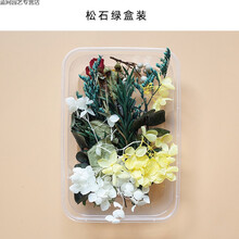 磐阙DIY混装干花盒混合手工花材包干花材料包真花天然风干ins装饰摆件 松石绿盒装 干花包