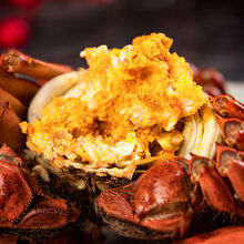 【活蟹】大闸蟹特大鲜活淡水公母蟹六月黄大螃蟹海鲜水产蟹类 普米加罗 六月黄(2.8-3.3两)6只