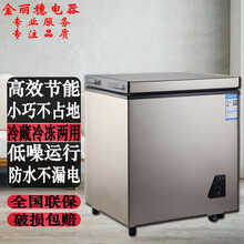 小冰柜家用小型冷冻柜迷你商用大容量冷藏柜双门双温节能 世雅 169-标准款【只换不修】