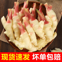 新鲜嫩姜生姜仔姜子嫩姜芽现挖红芽姜泡姜5斤 2500g