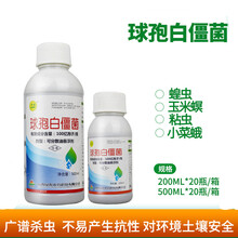 球孢白僵菌100亿孢子小菜蛾玉米螟地下害虫杀虫剂200-500g 200ml