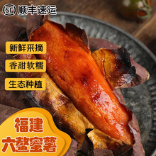 （现挖/顺丰）福建六鳌蜜薯 新鲜糖心红心地瓜农家烤地瓜软糯沙地流油香烤番薯 5斤 精选大果
