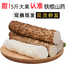 铁棍山药 糯米淮山药粉糯小白嘴加粗铁山药新鲜蔬菜河北 【】5斤装沙土铁棍