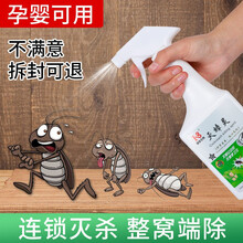 蟑螂药强效家用无毒全窝端室内厨房灭蟑螂一窝端杀蟑螂神器喷雾剂 500g/瓶