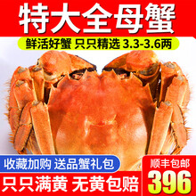 【活蟹】阳澄清歆大闸蟹 六月黄现货鲜活特大螃蟹 活蟹实物 公蟹全母蟹  生鲜水产礼盒装 六月黄全母蟹3.3-3.6两 十只礼盒装