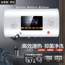 史密斯.劳伦电热水器储水式双胆扁桶家用租房速热洗澡沐浴恒温节能小型 60升遥控+出水断电 2000w 全国联保+上门安装