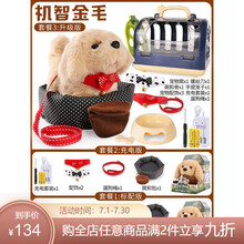 电动毛绒玩具狗狗会唱歌会叫动物有声会动仿真走路小狗婴儿男女孩 金毛犬带配件【配饰+牵引绳+狗窝】 充电版【充电电池套装+螺丝刀】