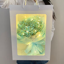 满天星干花手提小花束生日朋友玫瑰创意送女朋友情人节七夕礼物 天蓝色满天星 +手提袋灯串