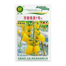 北京农科院京研京番黄星1号番茄种子纯黄樱桃番茄高甜度水果小西红柿千禧圣女果四季播蔬菜种籽优质早熟抗病