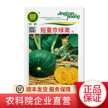 北京农科院京研南瓜种子早熟板栗南瓜种籽贝贝南瓜种子庭院阳台四季甜栗粉绿皮薄大田非转基因蔬菜种籽 京研短蔓京绿栗10克