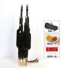 乐贝姿（LEBEIZI）笙乐器初学者精品紫竹方笙14簧17簧21圆笙演奏加键扩音笙 17簧全黑镶箍活斗笙(所有调需定做)