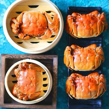 大闸蟹鲜活现货六月黄特大公母蟹活体3.5-1.3两螃蟹河蟹 2.3-2.8两10只(六月黄)