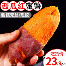 红心西瓜红红薯新鲜现挖沙地糖心蜜薯地瓜普薯32号粉糯香甜当季时令3/5/10斤 5斤小果【尝鲜装】