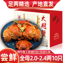 【10只装】大闸蟹全公母六月黄螃蟹镇海鲜水产生鲜 全母蟹：2.0-2.4两(10只)