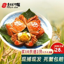 【盘锦河蟹】辽梦 稻田河蟹  鲜活  螃蟹 现货盘锦产地直发鲜活公母大蟹海鲜水产 六月黄（公）1.7-1.9两/只 10只送2只