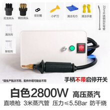 蒸汽清洁机高温高压一体机家用空调商用油烟机家电清洗多功能工具旦榄 白色 2800w直喷枪