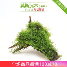 异景园沉木头造景木沉木莫斯树根莫斯摩丝草苔藓造景 鱼缸装饰水草造景 中号莫斯沉木