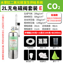 俪鱼（LIYU）水草CO2套装  草缸二氧化碳减压阀钢瓶 二氧化碳发生器 让水草状态满分 2L钢瓶细化器套装E