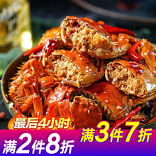 香辣蟹罐头螃蟹公母大闸蟹一元蟹网红零食即食海鲜熟食350g 公母装【香辣味】