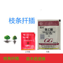 国光生跟 生根剂 萘乙酸 调节生长 苗木花卉扦插移栽泡枝条农药 2.5g