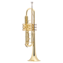 全新巴哈降B调小号Bach乐器美国TR300H2 TR300H2S初学表演入门乐队演奏成年人定制款 美国原装 漆金 TR300H2
