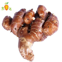 茂名沙姜3斤新鲜生姜化州沙姜当季蔬菜生姜食用姜整箱 1000g