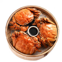 【活鲜】大闸蟹鲜活海鲜水产螃蟹六月黄活体河蟹 塞红康尔 六月黄(0.7-1.1两)10只