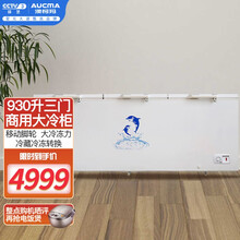 澳柯玛商用卧式大容量冰柜单温冷藏冷冻两双门冷柜商用大冷柜【厂家直发】630/730/828/930 【商用冷柜-930升】BC/BD-930