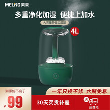 美菱（MeiLing）加湿器卧室婴儿办公室客厅迷你大雾量台式空气加湿器 静音净化香薰机 4L双重净化加湿款 MH-751T
